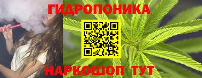 хмурый Абакан