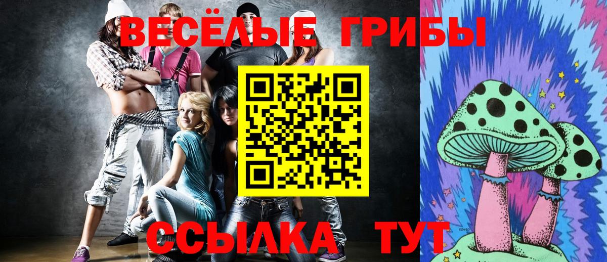 Галлюциногенные грибы прущие грибы Абинск